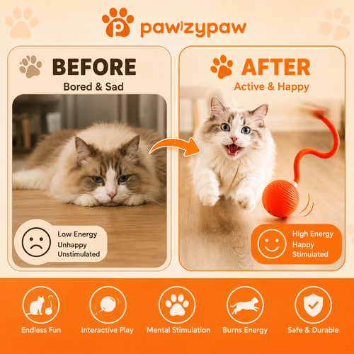 Pawzypaw Interactive Toy